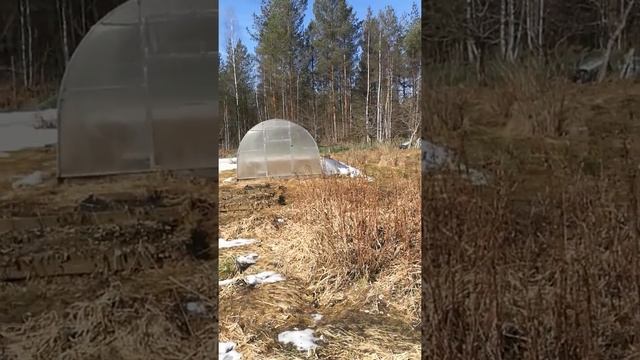 Баня СНТ пчёлка смотреть онлайн