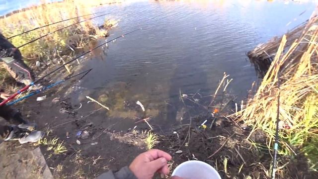 Рыбалка поздней осенью . Ротан зажигает . смотреть онлайн