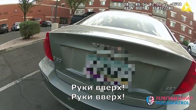 Подстрелили за Домашнее насилие / Применение оружия полицией смотреть онлайн
