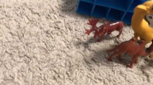 Обзор моих фигурок диких кошек (и других животных)