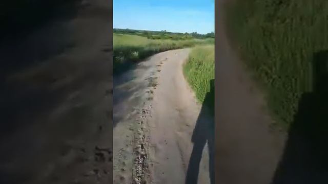 Рыбалка пруд "Сухой-2" смотреть онлайн