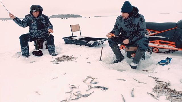 Рыбалка на Белом море! Корюшка и Навага. 16.02.22г. смотреть онлайн