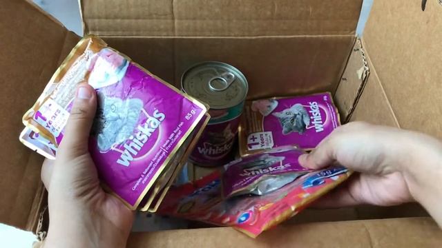 Wet cat food unboxing || Whiskas, smart heart, fancy feast pouch unboxing|| #catfood #whiskas #pouc смотреть онлайн