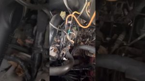 Renault Master 3 не запускается. Ошибка давления масла и ABS. Не читает ЭБУ. Проблема найдена.