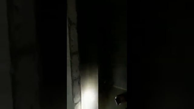 Квартира-студия. г. Сергиев Посад смотреть онлайн