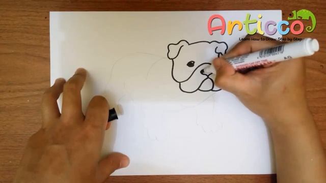 How to Draw a Bulldog Step by Step for Kids смотреть онлайн