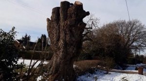 СТАРИННЫЕ АНГЛИЙСКИЕ ДОМА. Экскурсия по маленькой деревне без магазина и паба.