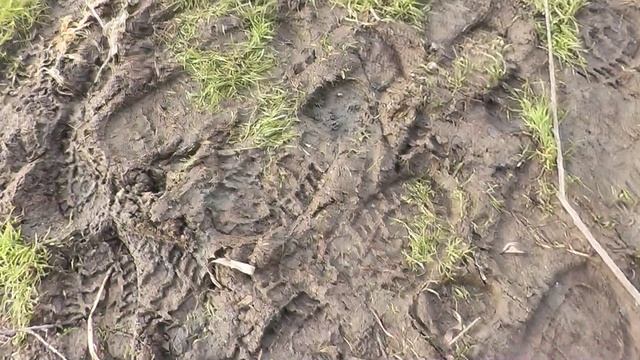 в октябре смотреть онлайн