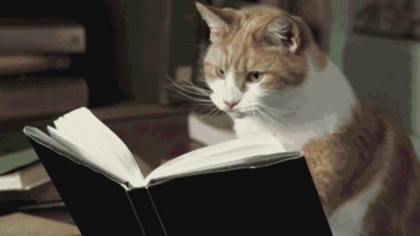 Антон Павлович Чехов - Палата номер № 6 - глава 6 - Anton Pavlovich Chekhov - Ward 6 - chapter 6