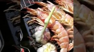 Жарим Лангустины- это норвежские омары.