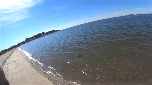 Fluke Stripers and Sea Robins from the Beach смотреть онлайн