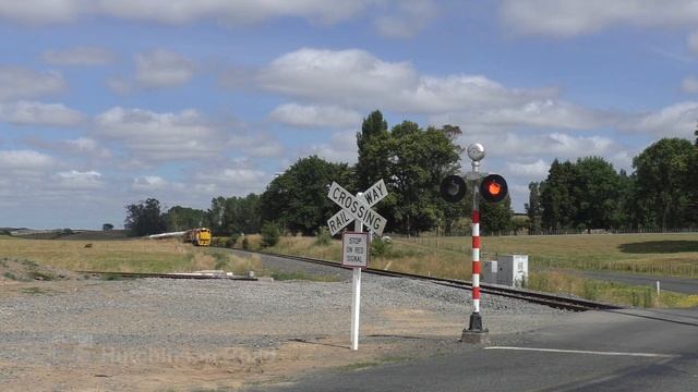 Waharoa Wanderer смотреть онлайн