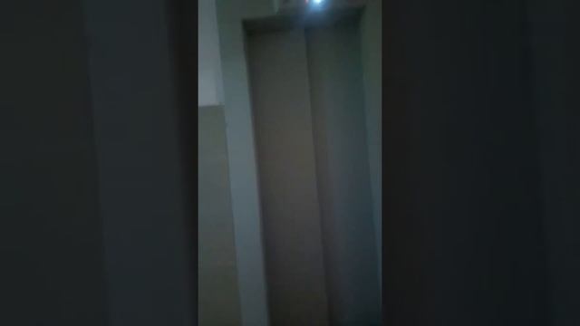 Монстр снятый на камеру