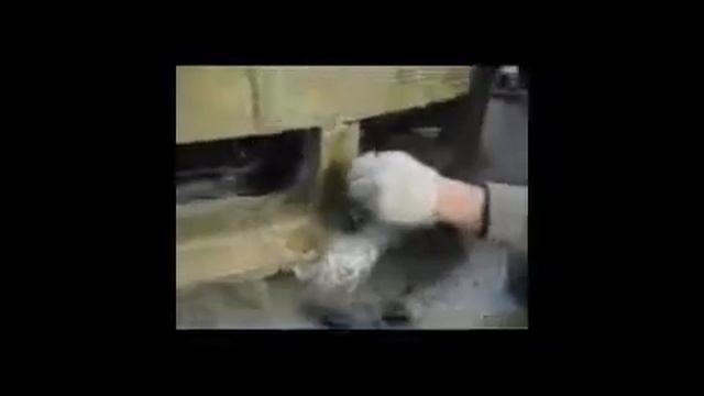 Бюджетные машины