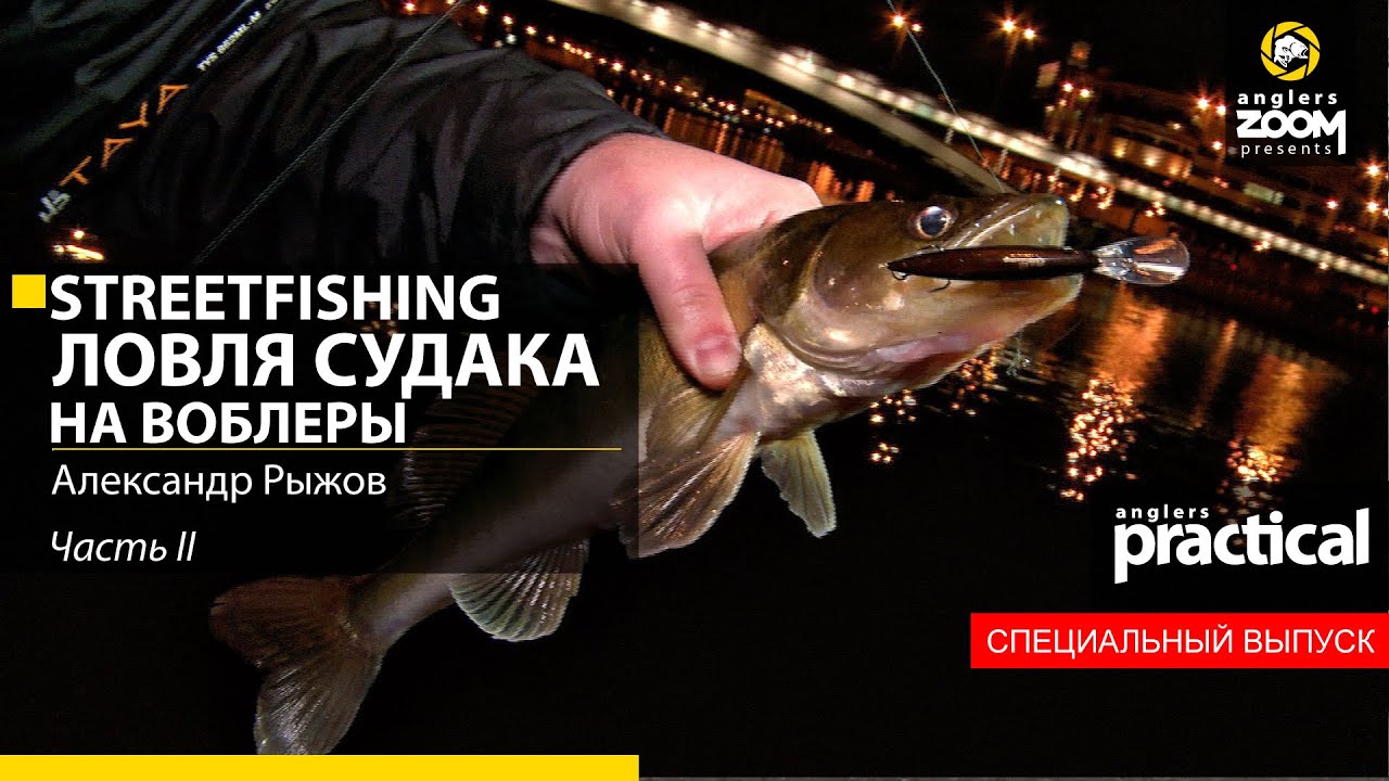 Streetfishing. Ловля судака на воблеры. Александр Рыжов. Часть 2. Anglers Practical.