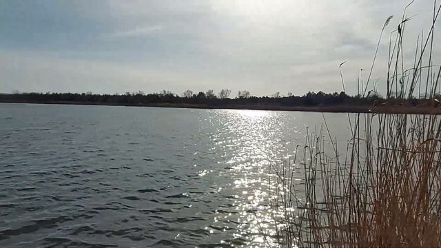 Запорожье вечер 29.03.2022 прекрасный Весенний День смотреть онлайн