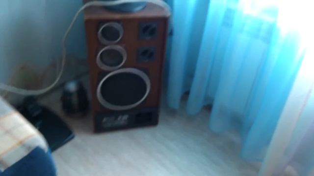 Radiotehnika S90 + Электроника ПМ-01 + Степь 103 + TDA 7294