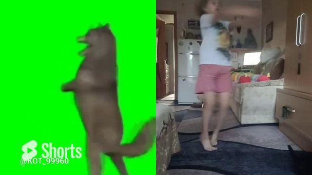 повторила🐾💚