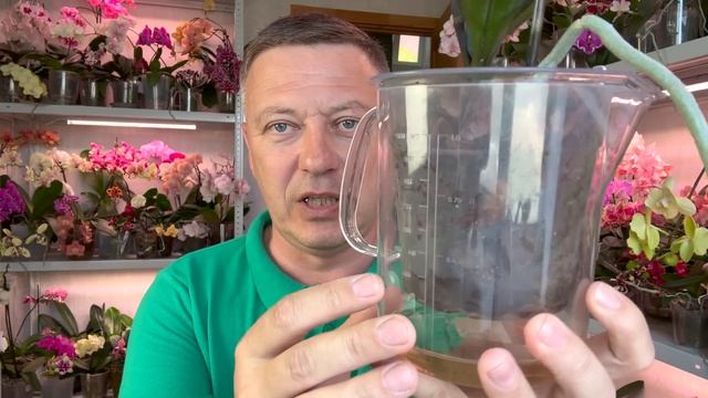 правда про АМИНОСИЛ для орхидей ОЖИДАНИЯ и РЕАЛЬНОСТЬ // конец тесту орхидей смотреть онлайн