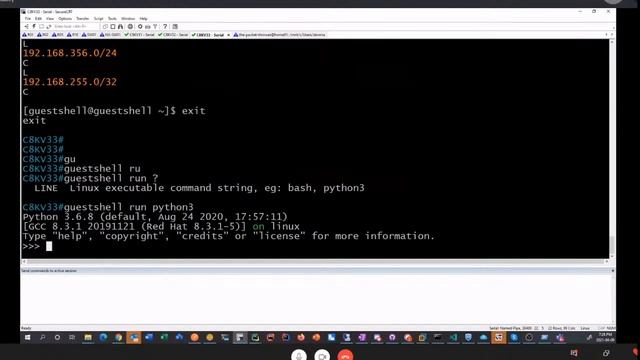 LIVE: CCNA Automation with The Packet Thrower! смотреть онлайн