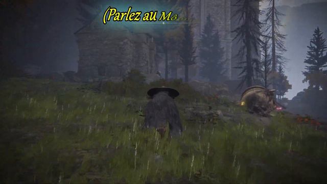 Les Quêtes de Diallos & Môme jarre (Elden Ring) смотреть онлайн