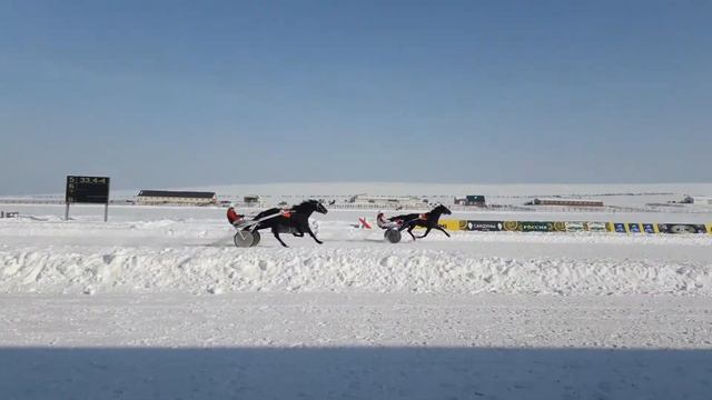 Скачки-Финиш✔?на Сибирском Подворье в Новотырышкино! смотреть онлайн