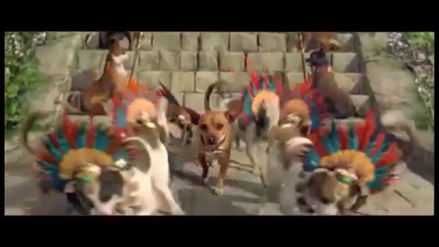 trailer chihuahua - tareas .com смотреть онлайн