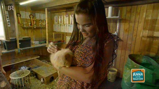 Meerschweinchen | Information Für Kinder | Anna Und Die Haustiere