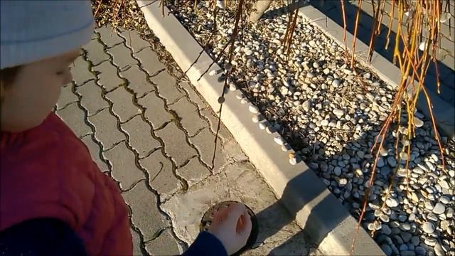Весна на Балатоне - о природе и погоде в конце февраля смотреть онлайн