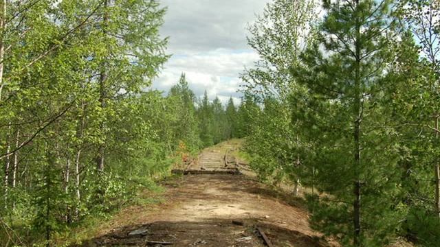 Железная дорога "Салехард - Игарка". смотреть онлайн