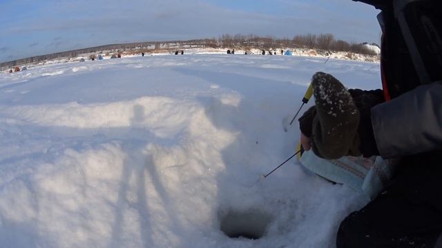 Первая рыбалка в 2023 году. Томь, Митрофаново. смотреть онлайн