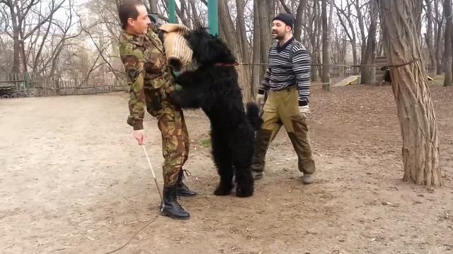 РЧТ. Ляля жжёт на 