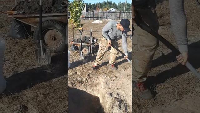 Как правильно сажать деревья Советы от Садового центра "Зелений Двір" с Низшая Дубечня, Вышгород смотреть онлайн