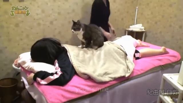 Лучшие приколы 2016. Ржака до слез. Приколы про животных, про девушек. Тест на психику. смотреть онлайн