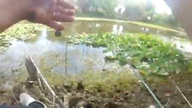 Осенняя рыбалка на червя на поплавочную и донную удочку. РЫБАЛКА в АСТРАХАНИ. смотреть онлайн