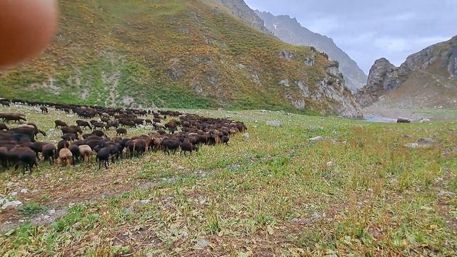 Мол дар айлок смотреть онлайн