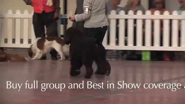 WELKS Championship Dog Show 2011 Trailer смотреть онлайн