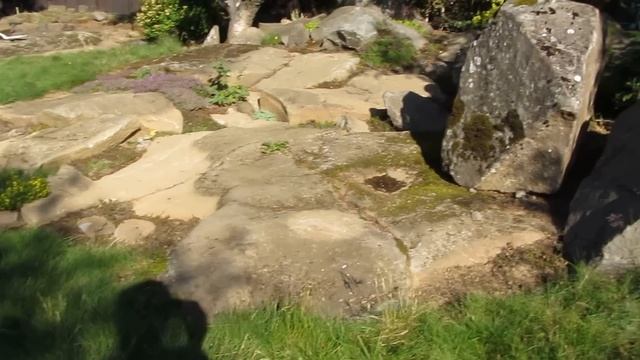 A Garden in Kopavogur, Iceland смотреть онлайн