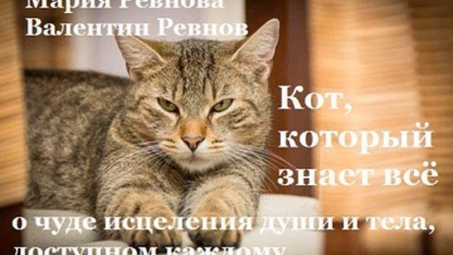 Глава 1 Ищут кота смотреть онлайн