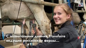 Хотите быстрей доить коров, но производительность доильного зала не позволяет?