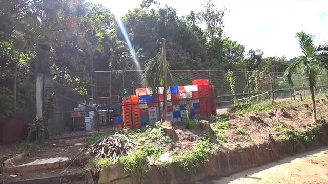 Сколько стоит жилье на Пхукете/Аренда жилья в Таиланде/Плюсы и минусы жизни в джунглях/Пхукет/ДОРОГ смотреть онлайн