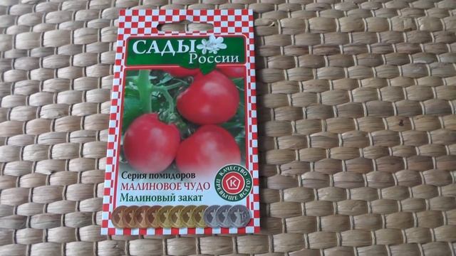 Обзор новых сортов томатов от фирмы " Сады России" на 2021 год. смотреть онлайн