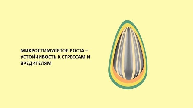 Технология подготовки подсолнечника SunPowerCS от Коссад Семанс смотреть онлайн