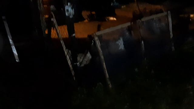 Куры совсем запутались на даче! Содержание кур на даче. смотреть онлайн