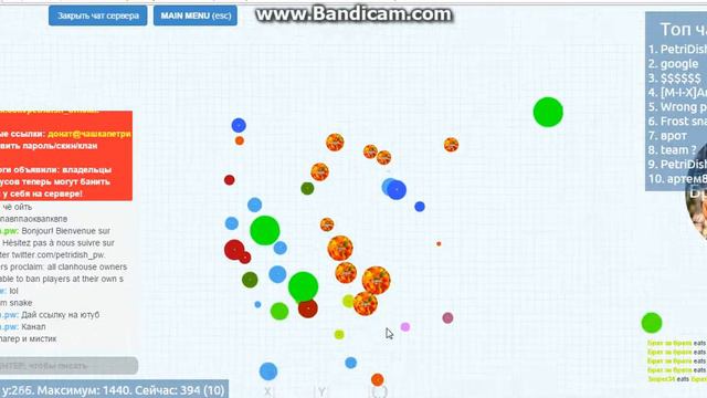 Агарио чашка петри с ником осень смотреть онлайн