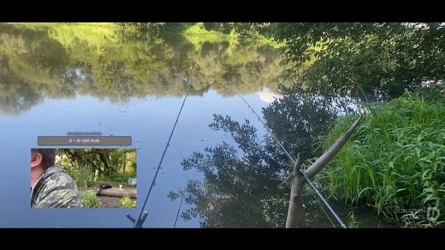 Сура онлайн. Стрим на реке. Ловим карася смотреть онлайн
