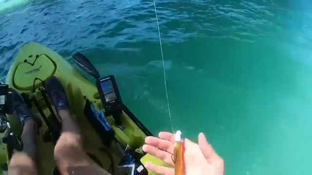 6 Shark Encounters That Will Haunt You смотреть онлайн