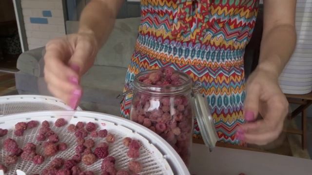 УМНАЯ СУШИЛКА: СУШИМ ЯГОДЫ, ГОТОВИМ ЦУКАТЫ.