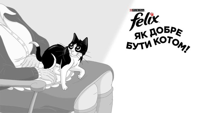 Felix® “Як добре бути котом!”  Бабусин котик