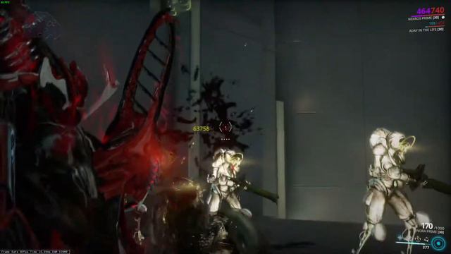 Warframe - Tenora Prime Build смотреть онлайн